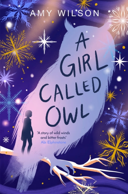Book cover of: Girl Called Owl. By: Amy Wilson