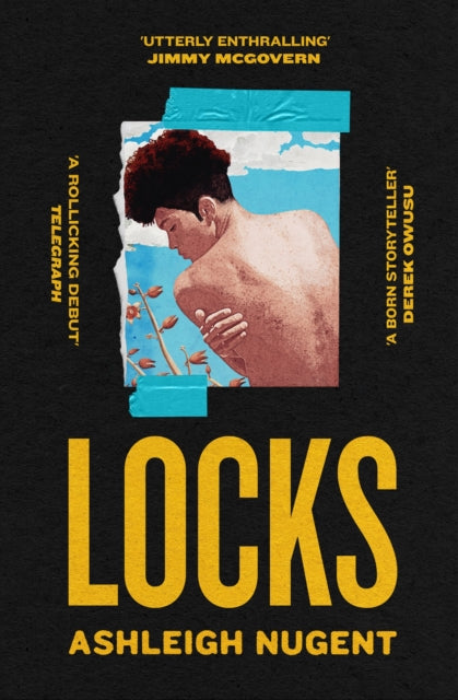 Book cover of: Locks. By: Ashleigh Nugent
