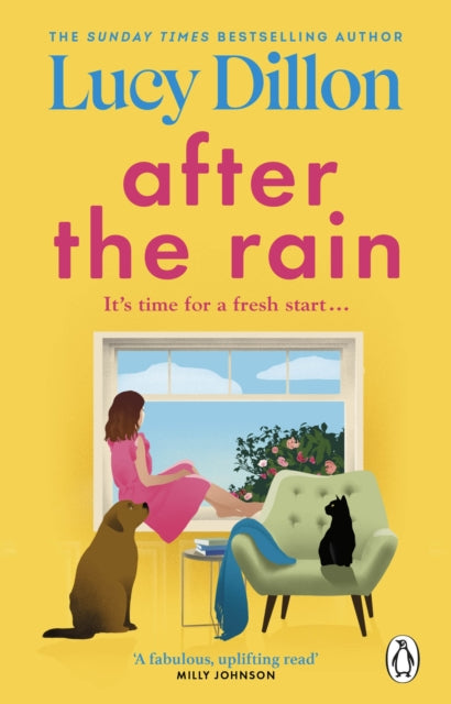 Book cover of: After the Rain. By: Lucy Dillon