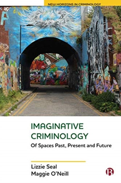 Book cover of: Imaginative Criminology. By: Lizzie Seal