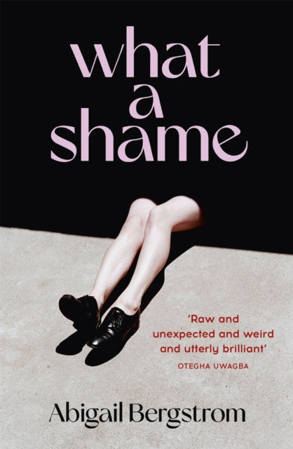 Book cover of: What a Shame. By: Abigail Bergstrom