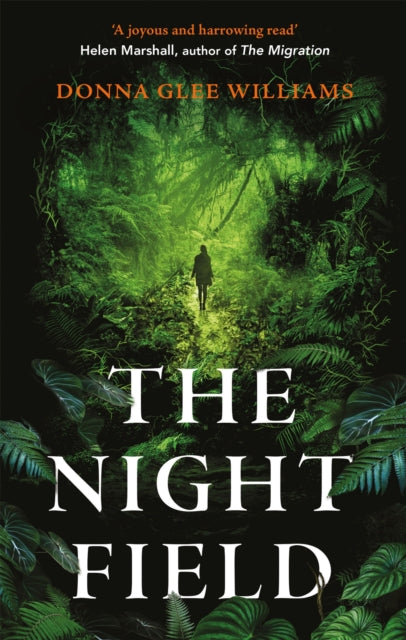 Book cover of: Night Field. By: Donna Glee Williams
