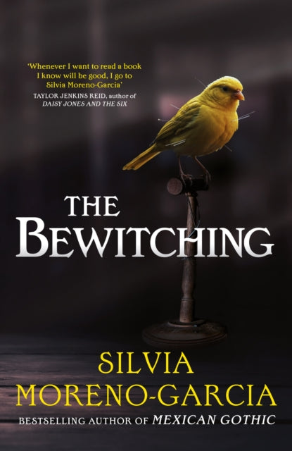 Bewitching, folk horror meets dark academia in this thrilling supernatural mystery from the bestselling author of Mexican Gothic 9781529441703 Silvia Moreno-Garcia