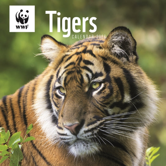 Book cover of: Wwf Tigers Square Wall Calendar 2026