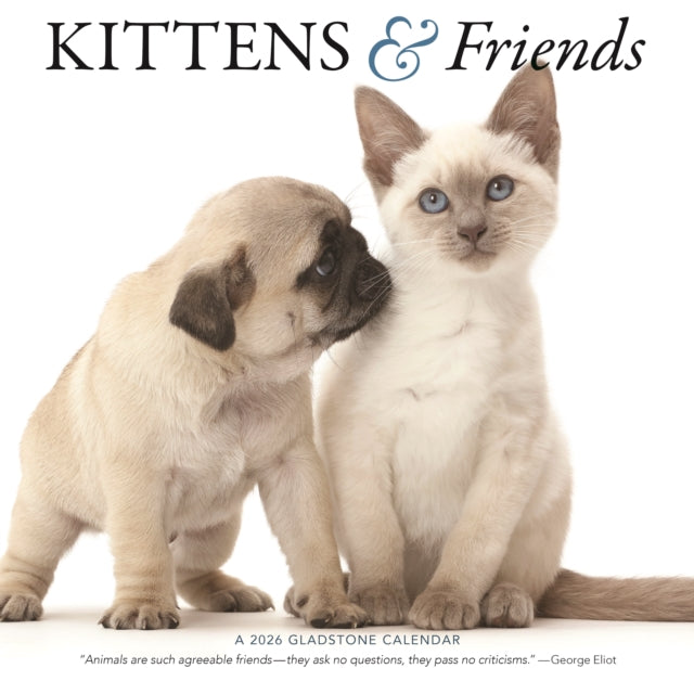 Book cover of: Kittens Friends Square Wall Sunday Start
