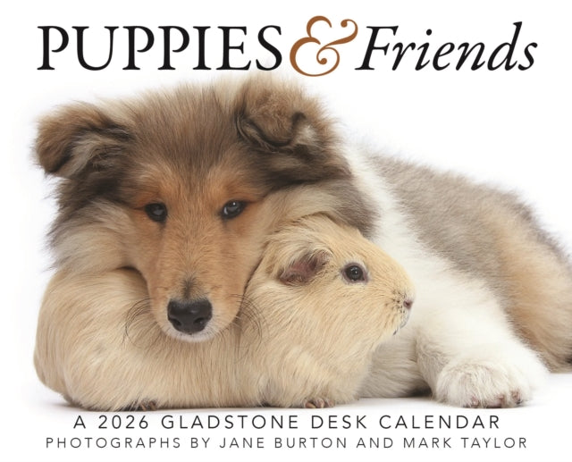 Book cover of: Puppies Friends Box Calendar 2026