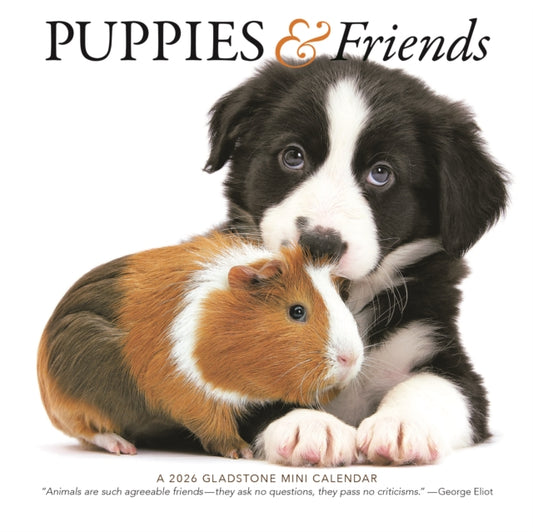 Book cover of: Puppies Friends Square Mini Sunday Start