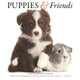 Book cover of: Puppies Friends Square Wall Sunday Start