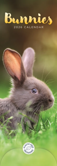 Book cover of: Bunnies Slim Calendar 2026