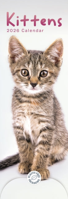 Book cover of: Kittens Slim Calendar 2026