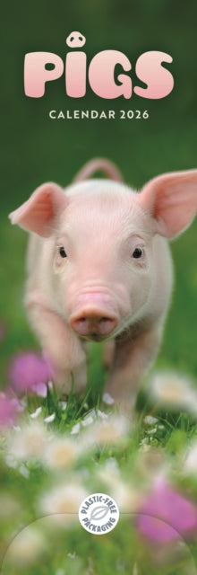 Book cover of: Pigs Slim Calendar 2026