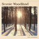 Book cover of: Scenic Woodland Square Wall Calendar 202
