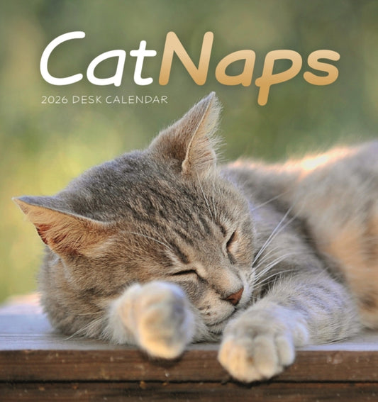 Book cover of: Cat Naps Easel Desk Calendar 2026