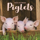 Book cover of: Piglets Square Mini Calendar 2026