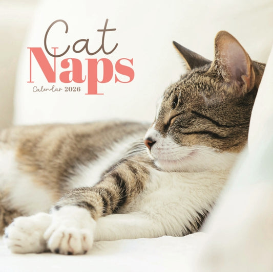 Book cover of: Cat Naps Square Mini Calendar 2026