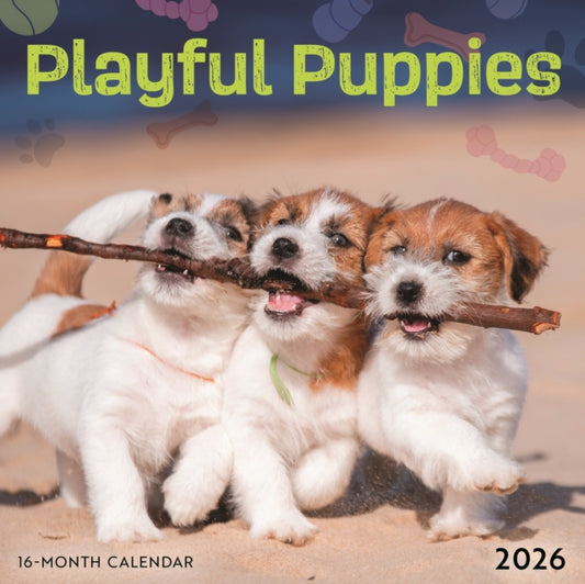 Book cover of: Playful Puppies Square Mini Sunday Start
