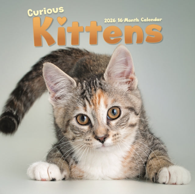 Book cover of: Curious Kittens Square Wall Sunday Start
