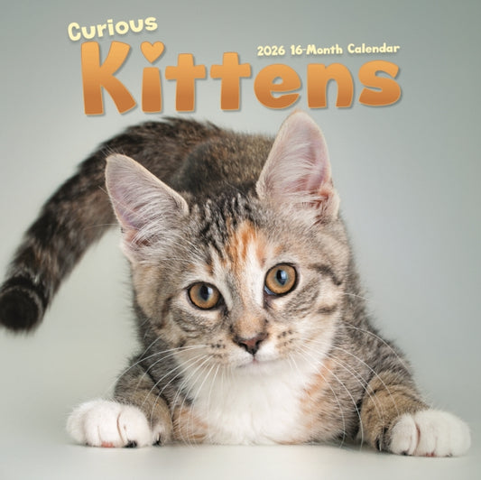 Book cover of: Curious Kittens Square Wall Sunday Start