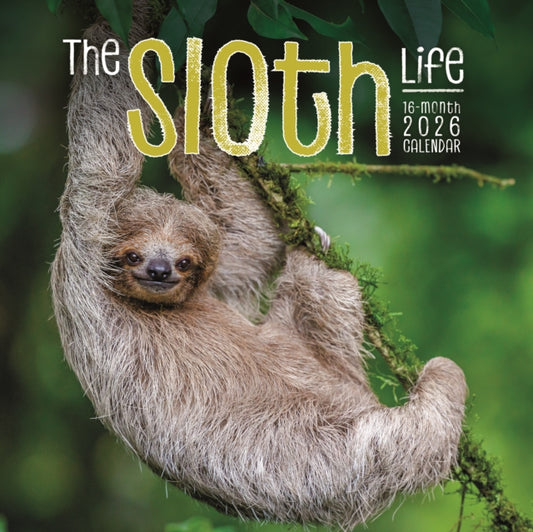 Book cover of: Sloths Square Wall Sunday Start Calendar