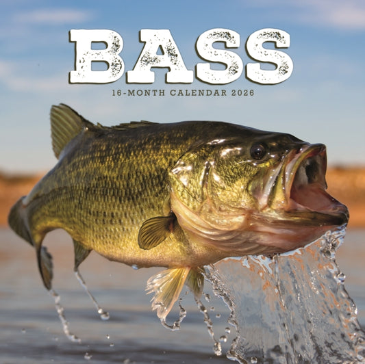 Book cover of: Bass Square Wall Sunday Start Calendar 2