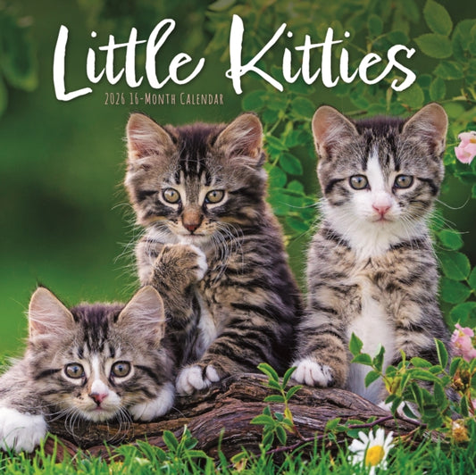 Book cover of: Little Kitties Square Wall Sunday Start