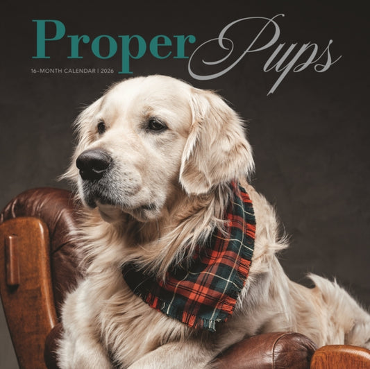 Book cover of: Proper Pups Square Wall Proper Pupssunda