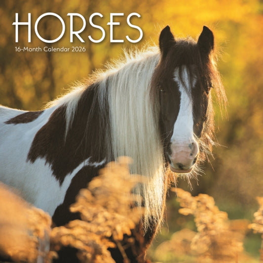 Book cover of: Horses Square Wall Sunday Start Calendar