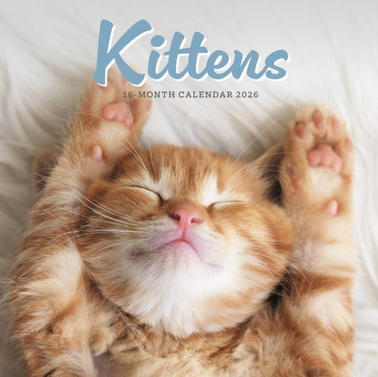 Book cover of: Kittens Square Mini Sunday Start Calenda