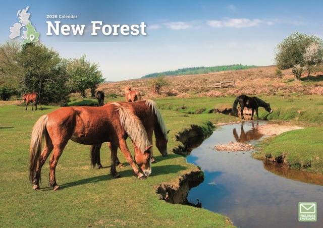 Book cover of: New Forest A4 Calendar 2026