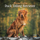 Book cover of: Nova Scotia Duck Tolling Retriever Squar