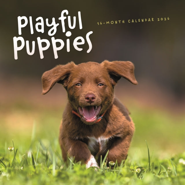 Book cover of: Playful Puppies Square Wall Sunday Start