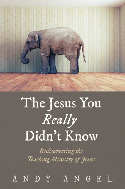 Book cover of: Jesus You Really Didn't Know. By: Andy Angel