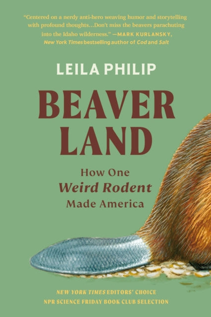Book cover of: Beaverland. By: Leila Philip