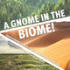 Book cover of: Gnome in the Biome!. By: Baby Professor