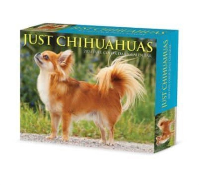 Book cover of: Chihuahuas 2024 6.2 X 5.4 Box Calendar