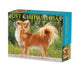 Book cover of: Chihuahuas 2024 6.2 X 5.4 Box Calendar