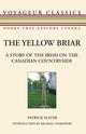 Book cover of: Yellow Briar. By: Patrick Slater