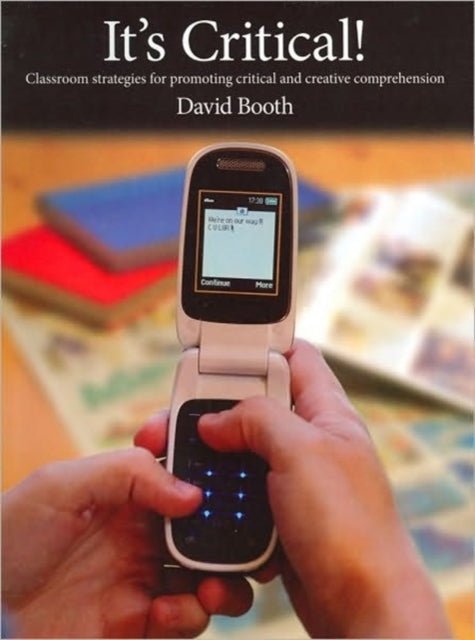 Book cover of: It's Critical!. By: David W. Booth