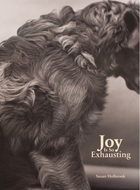Book cover of: Joy Is So Exhausting. By: Susan L. Holbrook
