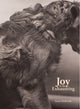 Book cover of: Joy Is So Exhausting. By: Susan L. Holbrook
