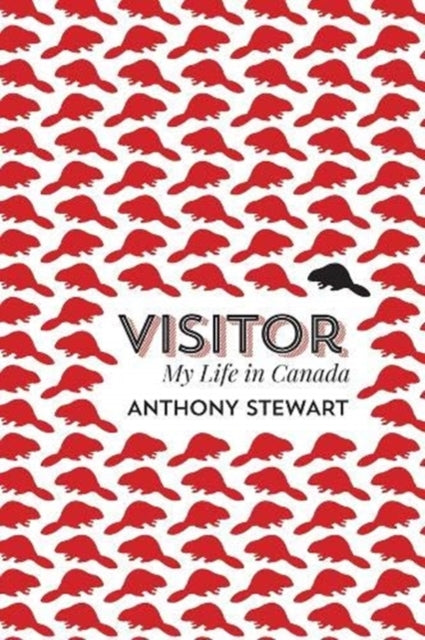 Book cover of: Visitor. By: Anthony Stewart