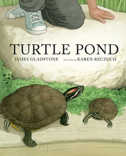 Book cover of: Turtle Pond. By: James Gladstone