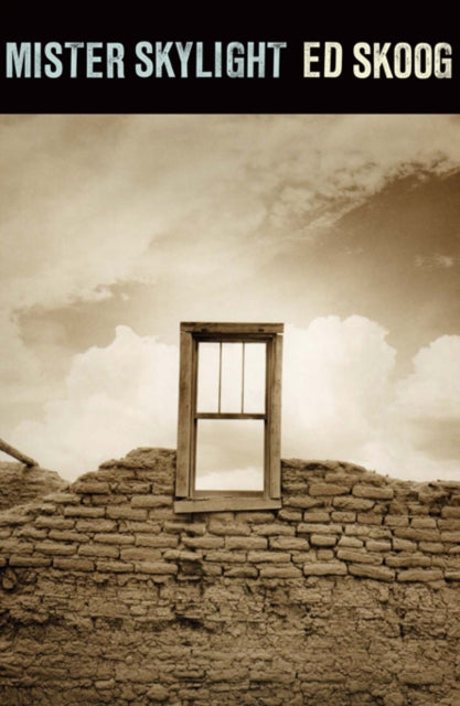 Book cover of: Mister Skylight. By: Ed Skoog