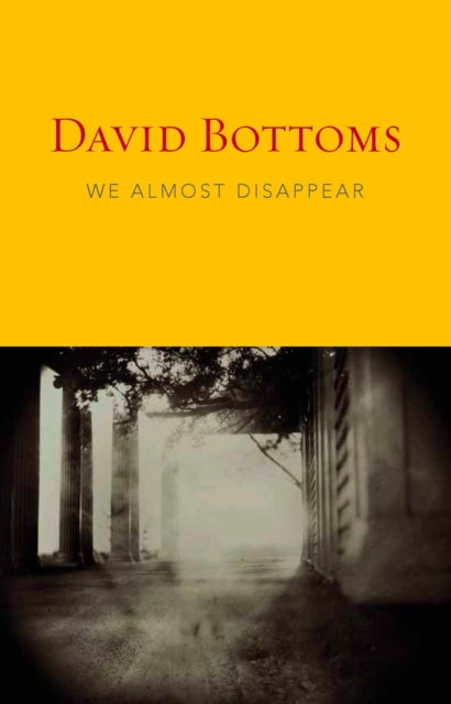Book cover of: We Almost Disappear. By: David Bottoms