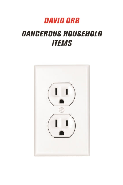 Book cover of: Dangerous Household Items. By: David Orr