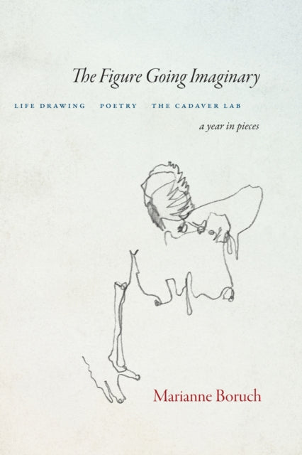Book cover of: Figure Going Imaginary. By: Marianne Boruch