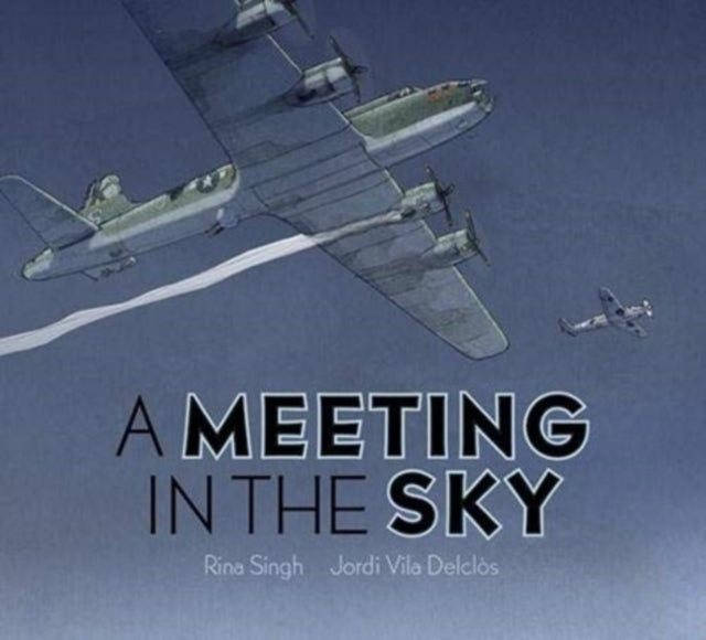 Meeting in the Sky 9781568463100 Rina Singh