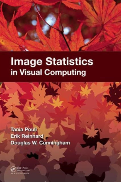 Book cover of: Image Statistics in Visual Computing