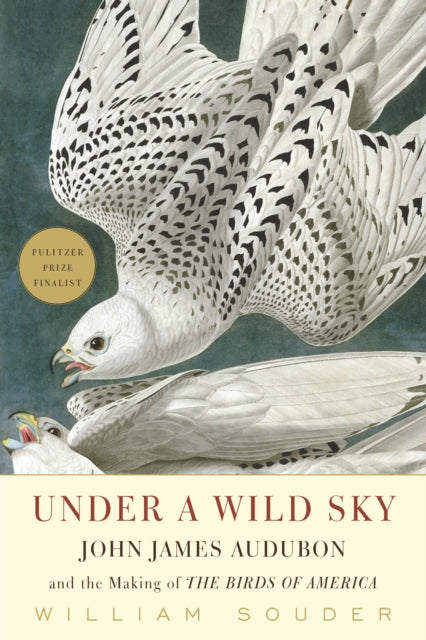 Book cover of: Under a Wild Sky