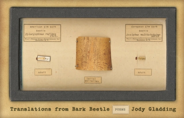 Book cover of: Translations from Bark Beetle